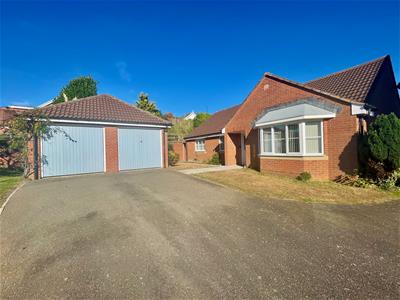 Picture 17
